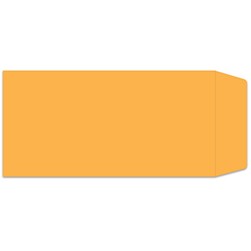 Plain Moist & Seal License Plate Envelope