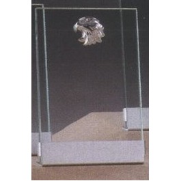 Clear Glass Plaque Award w/Silver Star, Silver Plastic Mounts & Aluminum Alloy Base (5"x7.5")