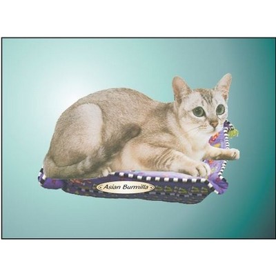 Asian Burmilla Cat Rectangle Metal Photo Magnet (2"x3")