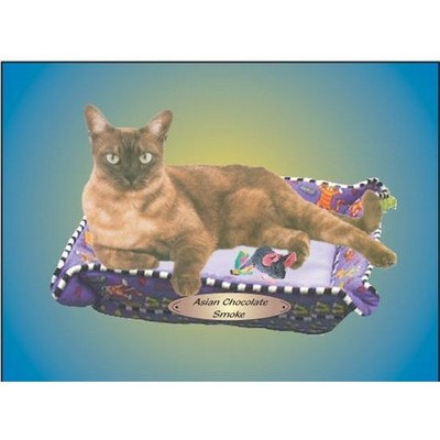 Asian Chocolate Smoke Cat Rectangle Badge w/ Bar Pin (2"x3")