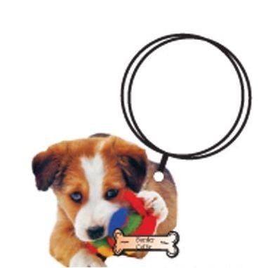 Border Collie Dog Keychain w/Mirrored Back (4 Square Inch)