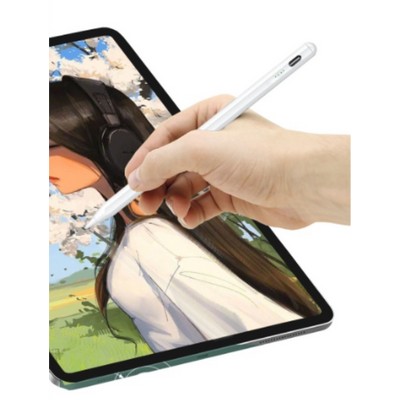 Stylus1