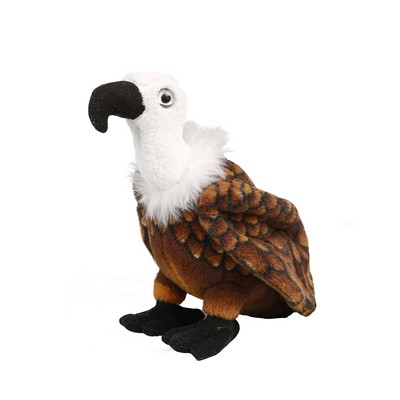 Brown Vulture
