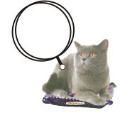 Chartreux Cat Promotional Keychain w/ Black Back (12 Square Inch)