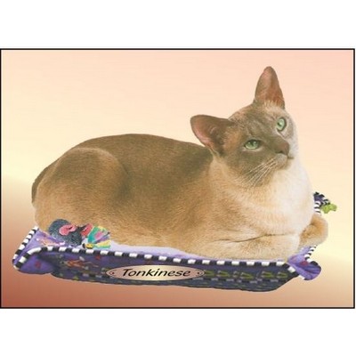 Tonkinese Cat Rectangle Badge w/ Bar Pin (2 1/2"x3 1/2")