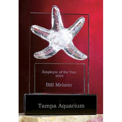 Glass Star Fish Award (9"x14")