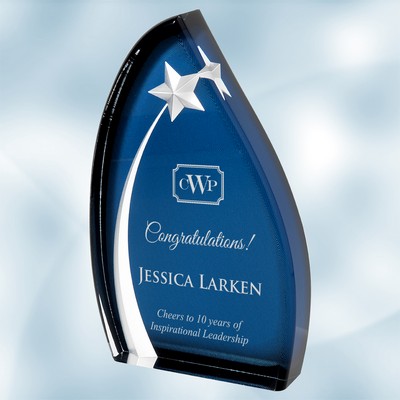 Acrylic Oval Star Award (S)