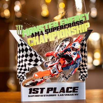 9" x 1/2" Thick Full Color Custom Shape Acrylic Award