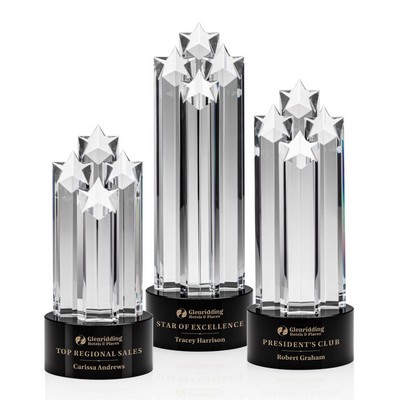 Ascot Star Award - Black