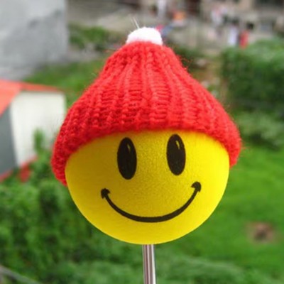 Car Topper Balls