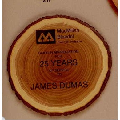 11" Tree Slab