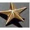 Star Casting (1 3/4")