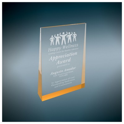 Acrylic Wedge Awards