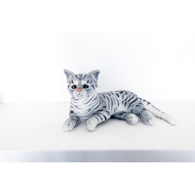 Grey Cat