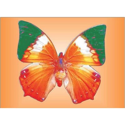 Orange & Green Butterfly Metal Photo Magnet (2 1/2"x3 1/2")