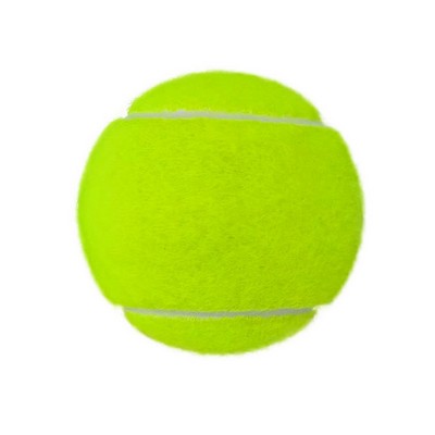 Pet Fetch Toy Tennis Ball