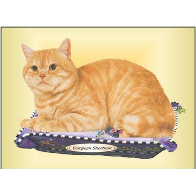 European Shorthair Cat Rectangle Badge w/ Bar Pin (2 1/2"x3 1/2")