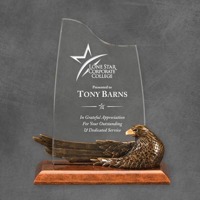 Acrylic Eagle Eye Award 7"H
