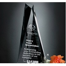 Serenity Award 8"