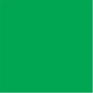 Green Square Labels Label Size: - 2.5" x 2.5"