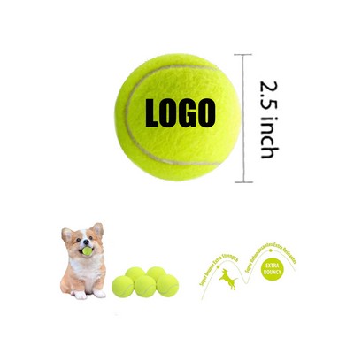 Pet Safe Toys