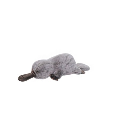 Platypus