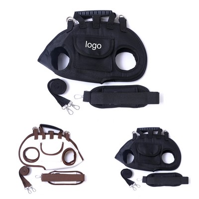 Pet backpack