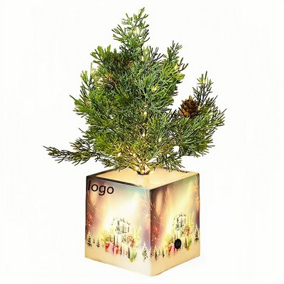 Mini LED Tree Night Light for Bedroom Dorm and Holiday Decorative Lighting