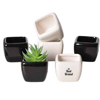 Glossy Square Mini Ceramic Succulent Planter