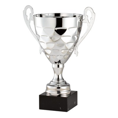 Vertex Texture Championship Cup, Silver, 14 1/4"H