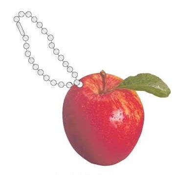 Apple Promotional Key Chain w/ Black Back (8 Square Inch)