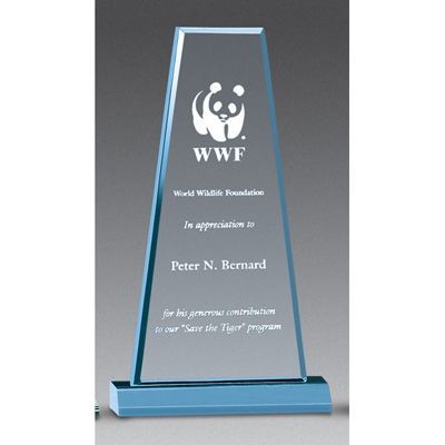 Large Prism Award (6"x10.75")