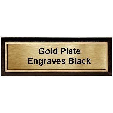 3" x 9" Brown/Bronze Cast Aluminum w/2" x 8" Plate