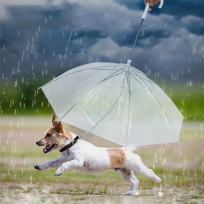 Pet Umbrella