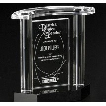 Vanessa Award 8"