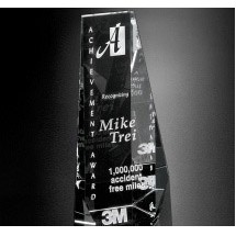 Wedgewood Award 8"