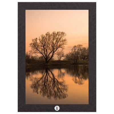 Morning Reflections