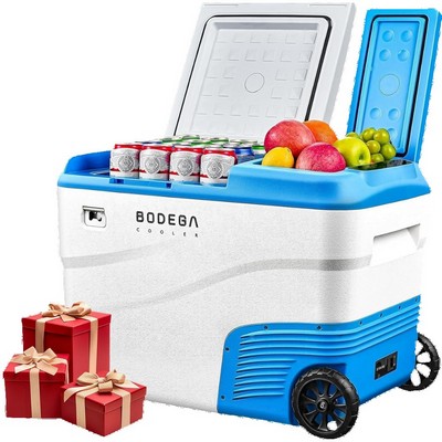 12V Car Fridge