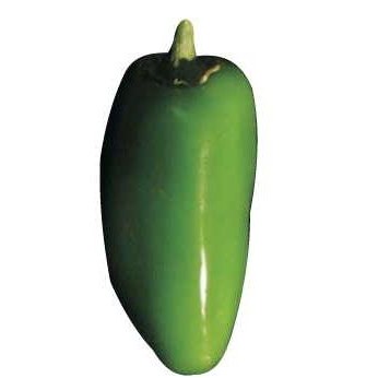 Jalapeno Promotional Magnet w/ Strip Magnet (4 Square Inch)