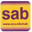 Sticky Screen Square Cleaner w/Custom Backer Card (4"x 2¼")