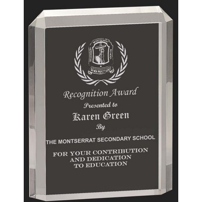 Standing Apart Acrylic Award L - 9 1/2'' h