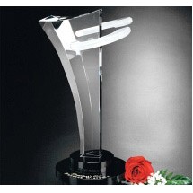 Innovation Award 12"
